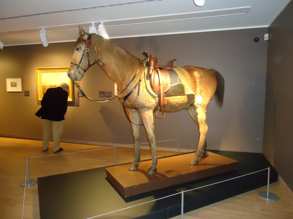 De Ierse halfbloed Wexy, het paard waarop Willem II gewond raakte tijdens de Slag bij Waterloo, is ook op de expositie in Dordrecht aanwezig.