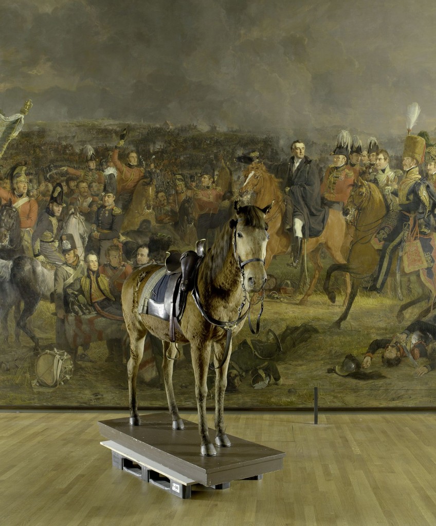 Pienemans Waterloo met Wexy, het paard van Willem II dat de slag meemaakte.