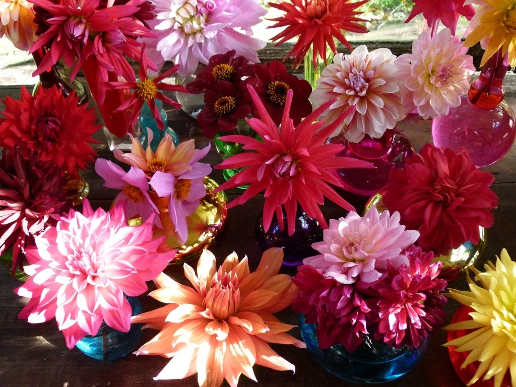 foto Ellen van Eldik