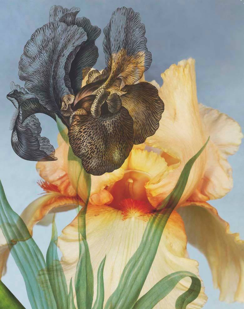 11412261_998982460173805_4375907567543436019_o