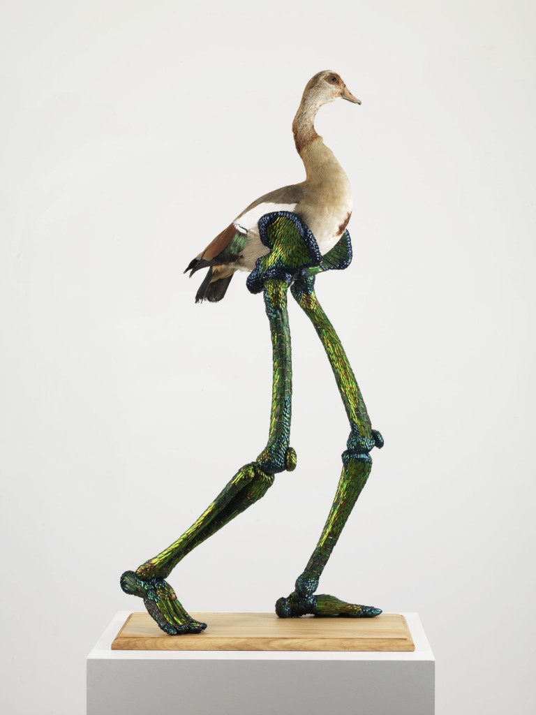 Jan Fabre, De goddelijke vruchtbaarheid, 2015, polymeer, opgezette vogel en natuurlijk geruide juweelkeverdekschilden, fotograaf: Lieven Herreman, copyright; Angelos bvba