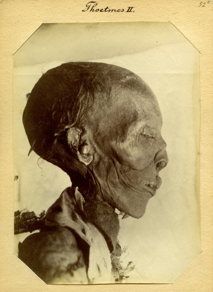 Jan Herman Insinger (1854-1918), Gemummificeerd lichaam van de farao Thoetmosis II (18e dynastie), 1886, Rijksmuseum van Oudheden, Leiden