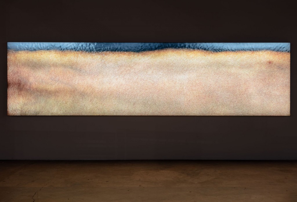 Danny, 2015, Seth Price. foto Brica Wilcox