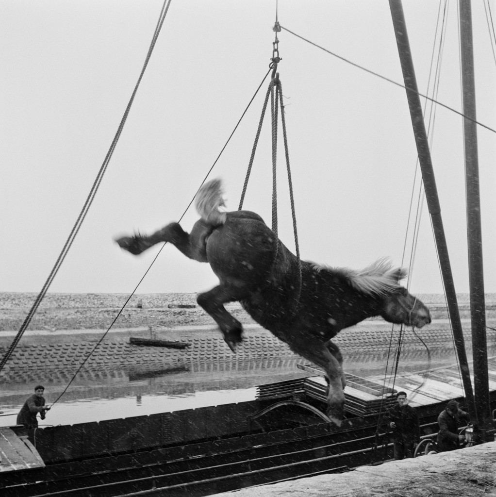 Watersnood, Zierikzee (1953), copyright Martien Coppens/Nederlands Fotomuseum