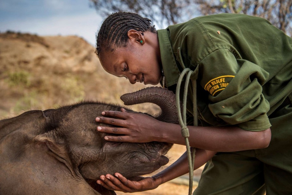 Ami Vitale, VS voor National Geographic, Natuur, 1e prijs series. Mary Lengees, een van de eerste vrouwelijke verzorgers van Reteti, aait Suyian, de eerste bewoner van de opvang, World Press Photo 2018
