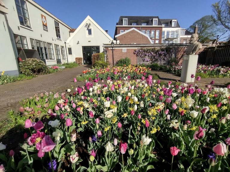 Museum De Zwarte Tulp feest van kleur: must see in Lisse - Museumkijker.nl